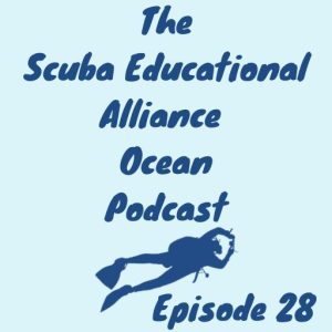 28. Can REUSE be a solution to plastic pollution?