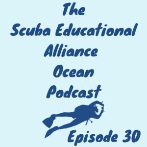 30. Let’s Recap DEMA Show 2025