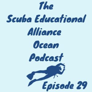 29. Let’s Dive into Lembeh and the Philippines